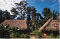 ��� - ����������� �� RCC-TRAVEL.RU